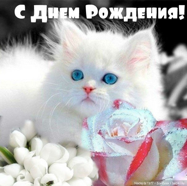 Сегодня день рождения у Элины (Everin). Замечательной подруги и просто хорошего человека