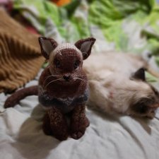 Сиамская кошка по описанию Клэр Гарланд