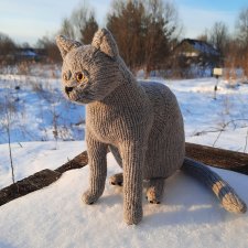 Новый котик британец по описанию Сары Элизабет Келлнер