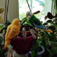 Новая работа канарейка, и малиновка  от Клэр Гарланд.Снегирь по МК синички из инета