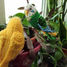 Попугаи по выкройке Клэр Гарланд. Новая работа