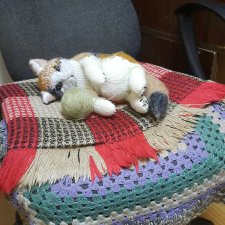 Новая работа трёхцветная кошечка Анфиса....