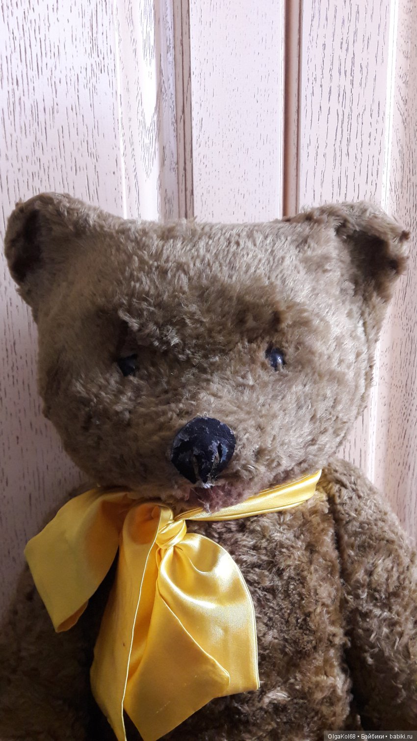 Три медведя — Болталка и разговоры обо всем: жизнь (фото 2)