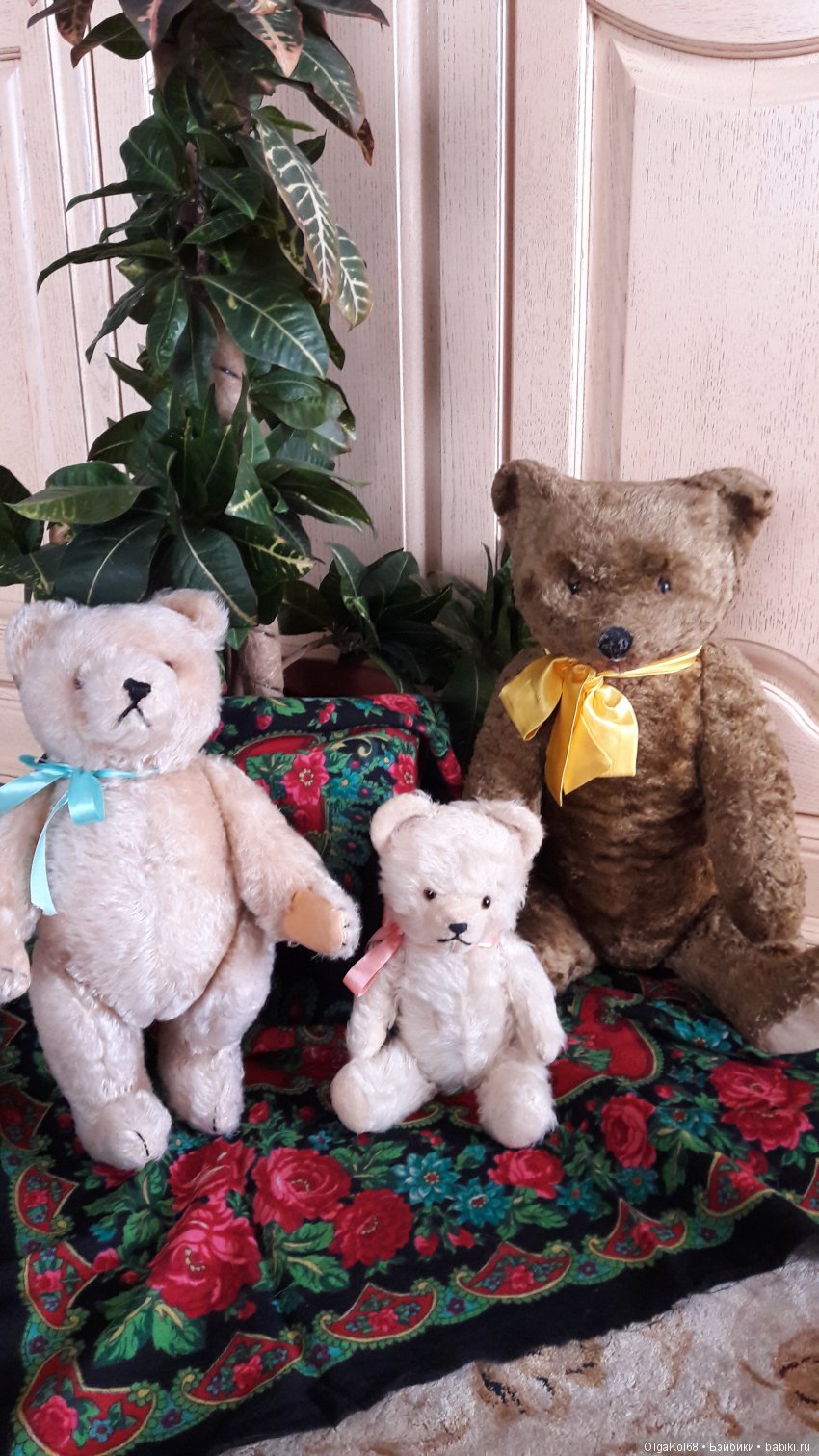 Три медведя — Болталка и разговоры обо всем: жизнь (фото 5)