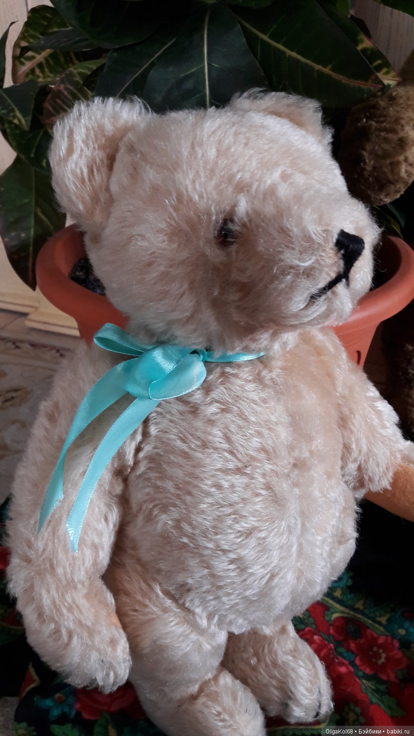 Три медведя — Болталка и разговоры обо всем: жизнь (фото 6)