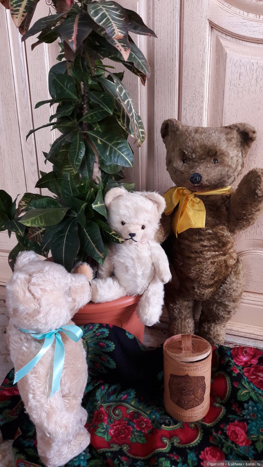 Три медведя — Болталка и разговоры обо всем: жизнь