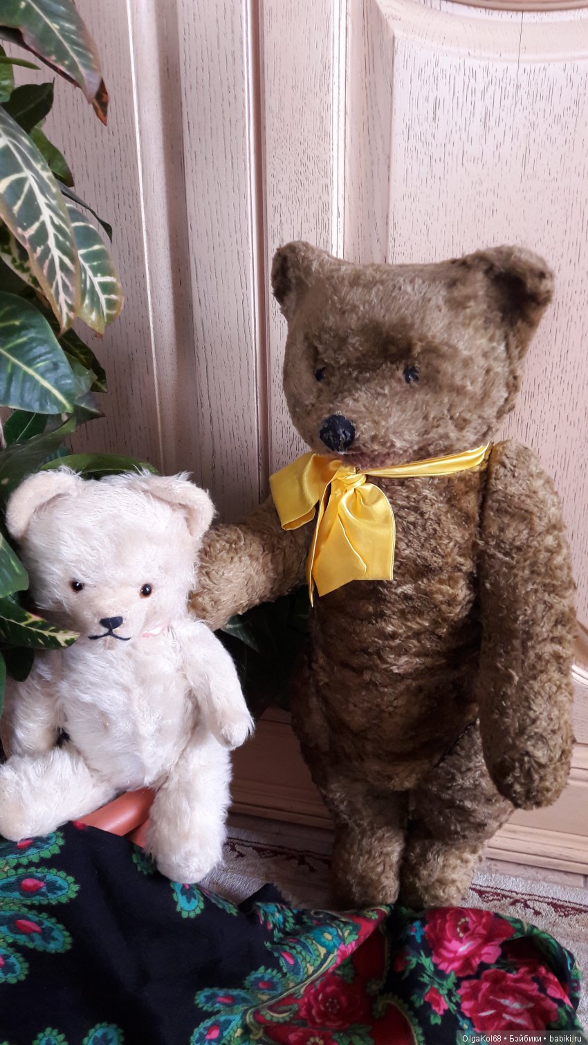 Три медведя — Болталка и разговоры обо всем: жизнь