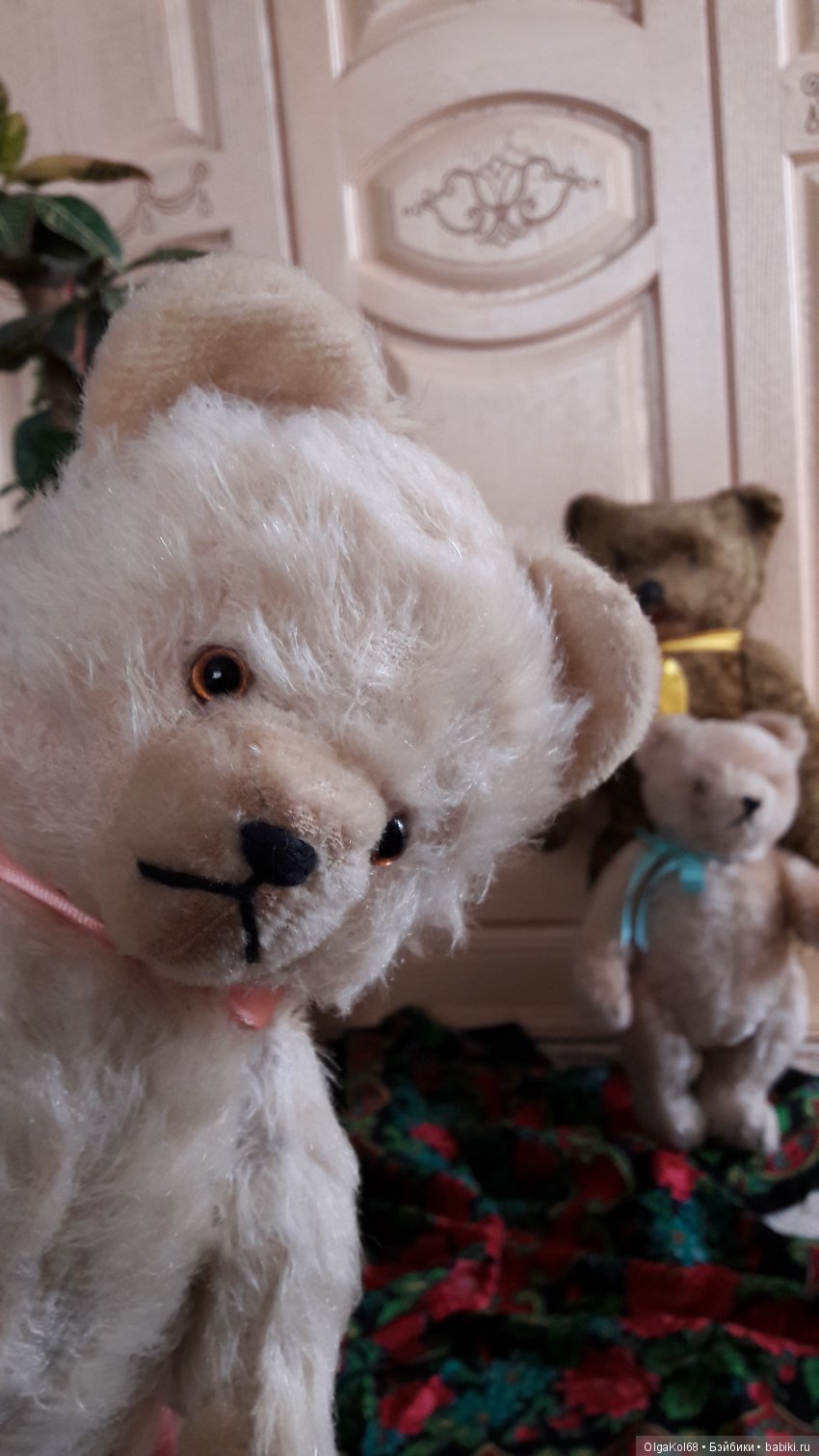 Три медведя — Болталка и разговоры обо всем: жизнь (фото 8)