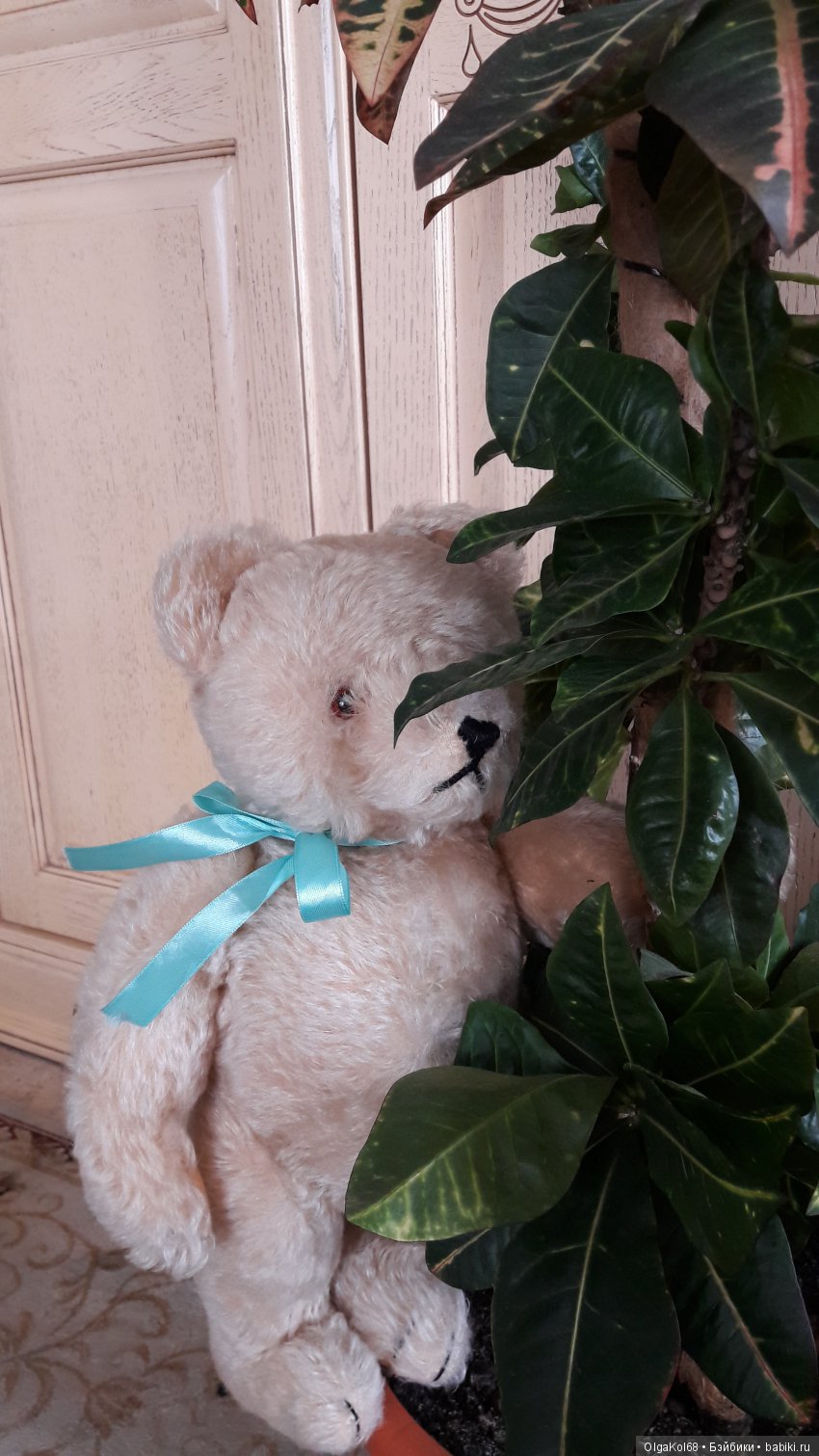 Три медведя — Болталка и разговоры обо всем: жизнь