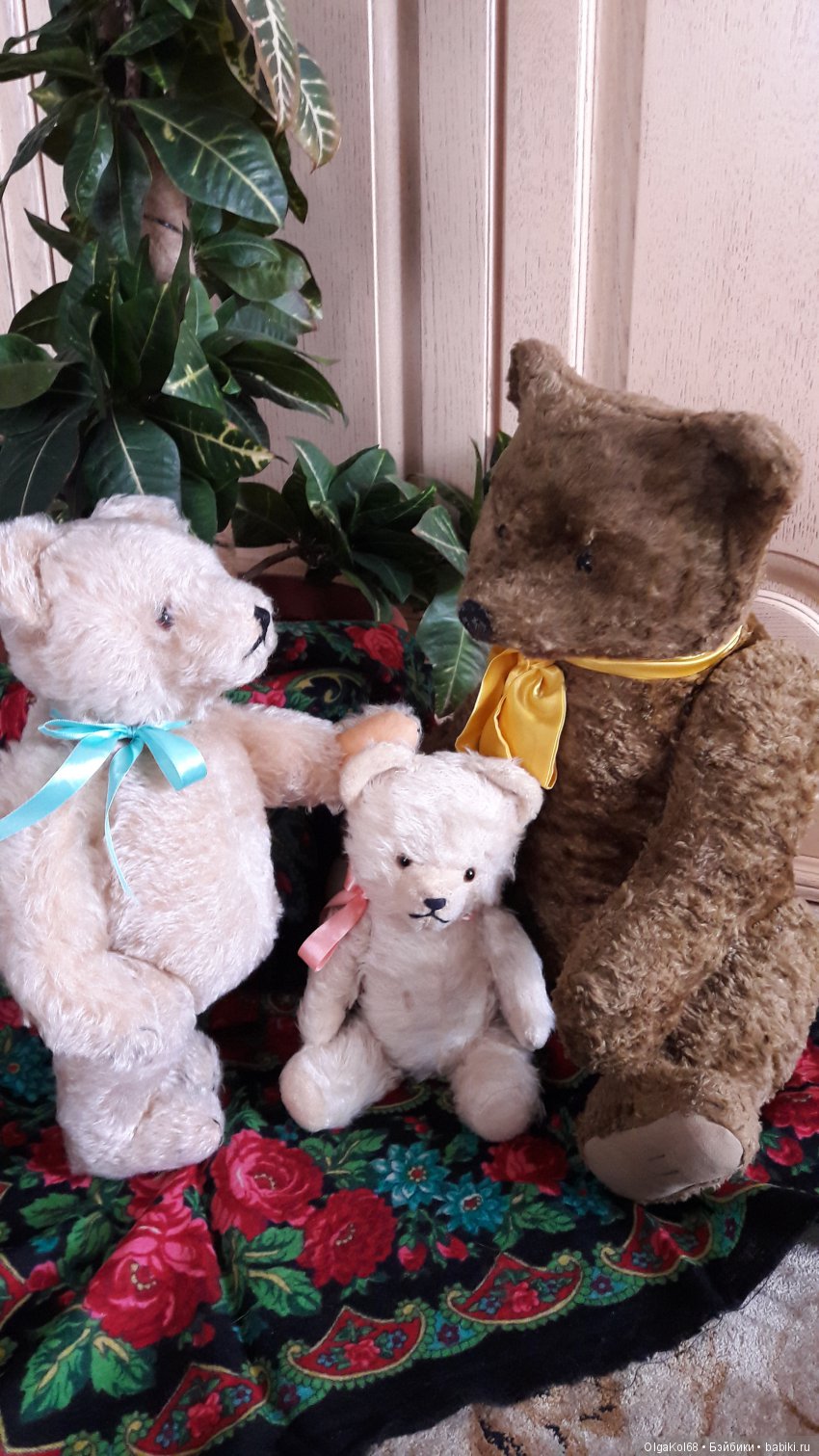 Три медведя — Болталка и разговоры обо всем: жизнь (фото 7)