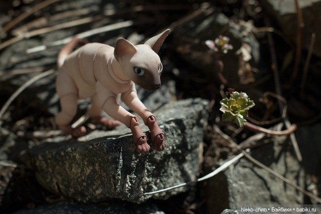 За подснежниками — Фотоистории с куклами BJD (БЖД): сериалы (фото 2)