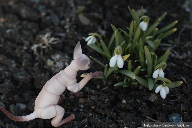 За подснежниками — Фотоистории с куклами BJD (БЖД): сериалы (фото 9)