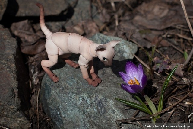 За подснежниками — Фотоистории с куклами BJD (БЖД): сериалы (фото 7)