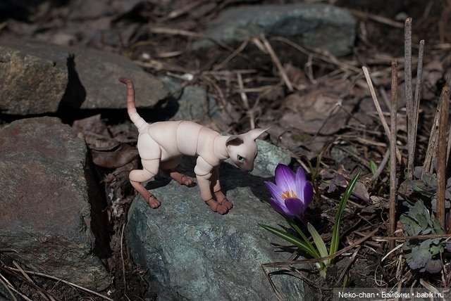 За подснежниками — Фотоистории с куклами BJD (БЖД): сериалы (фото 6)