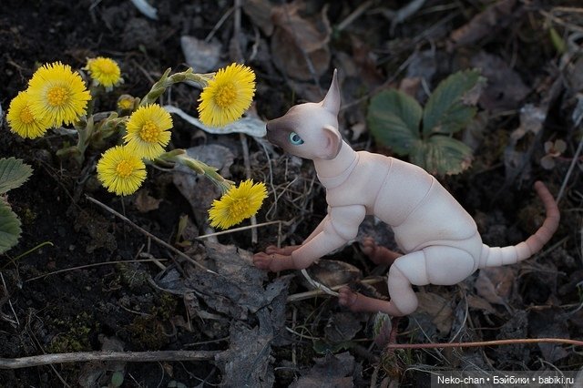 За подснежниками — Фотоистории с куклами BJD (БЖД): сериалы (фото 5)