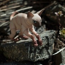 За подснежниками