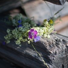 Пошёл в поход - возьми куклу. Ч.1