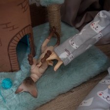 Утро начинается не с кофе