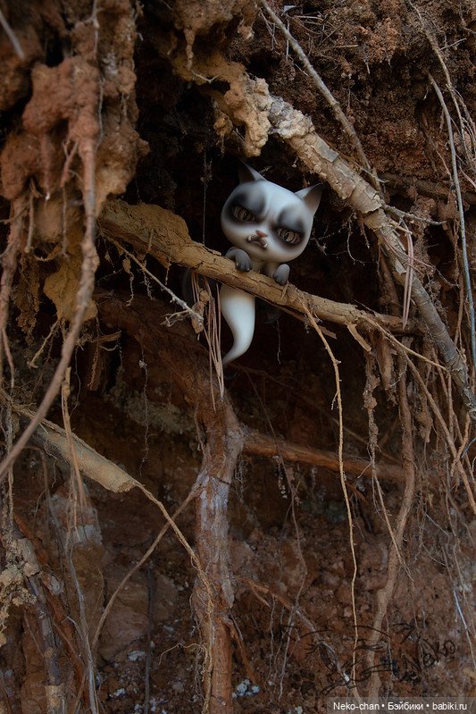 Ведьма на отдыхе, или от совести не скрыться (фото 7)