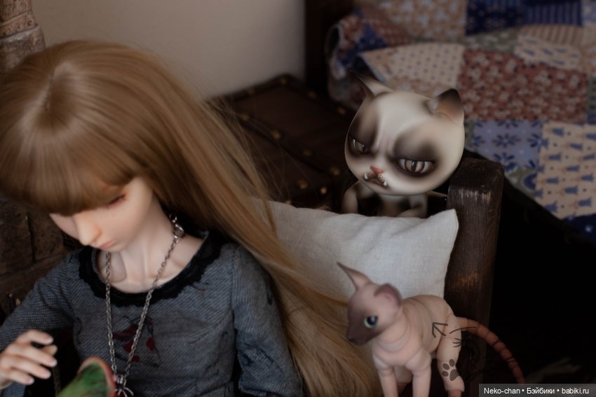 Питомци бывают разные — Фотоистории с куклами BJD (БЖД): сериалы (фото 5)