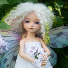 В карантин осмелели ни только звери, но и феи