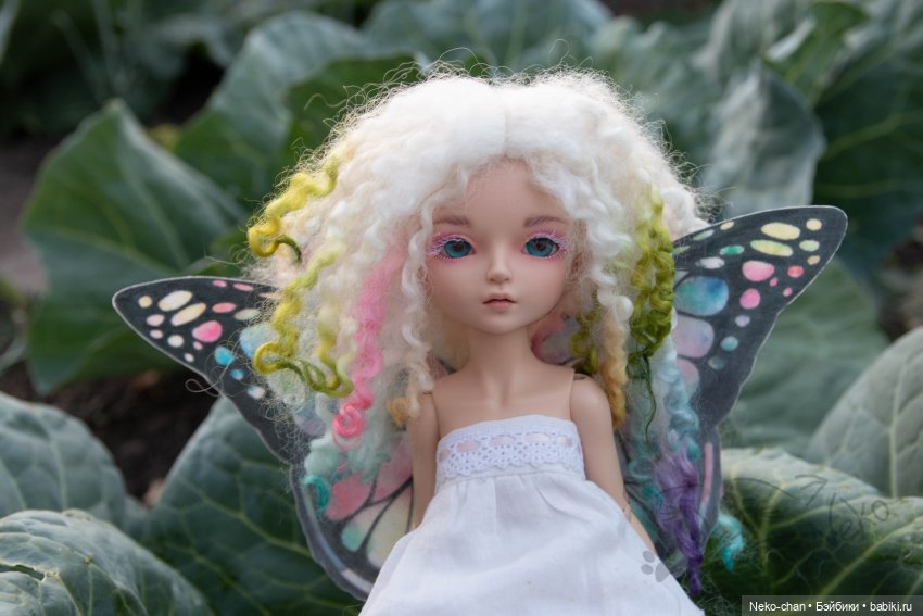 Бабочка - капустница — Фотоистории с куклами BJD (БЖД): сериалы (фото 2)