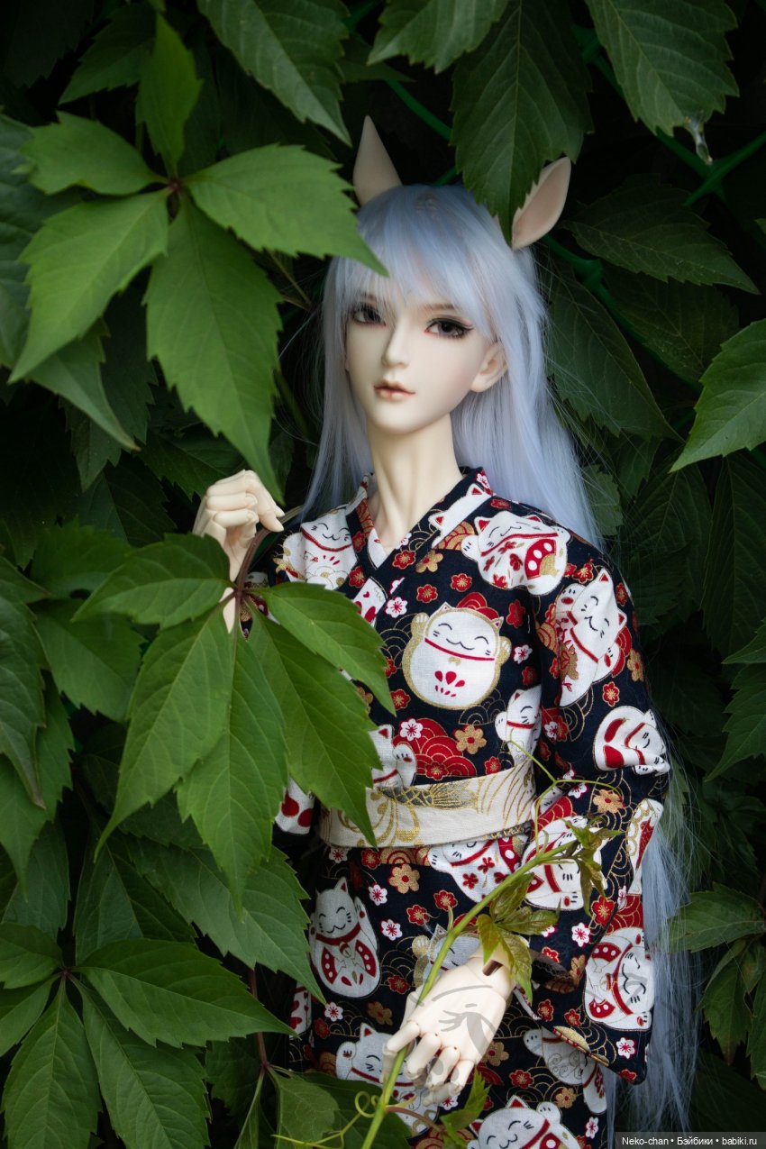 Прогулка лиса — Фотоистории с куклами BJD (БЖД): сериалы (фото 2)