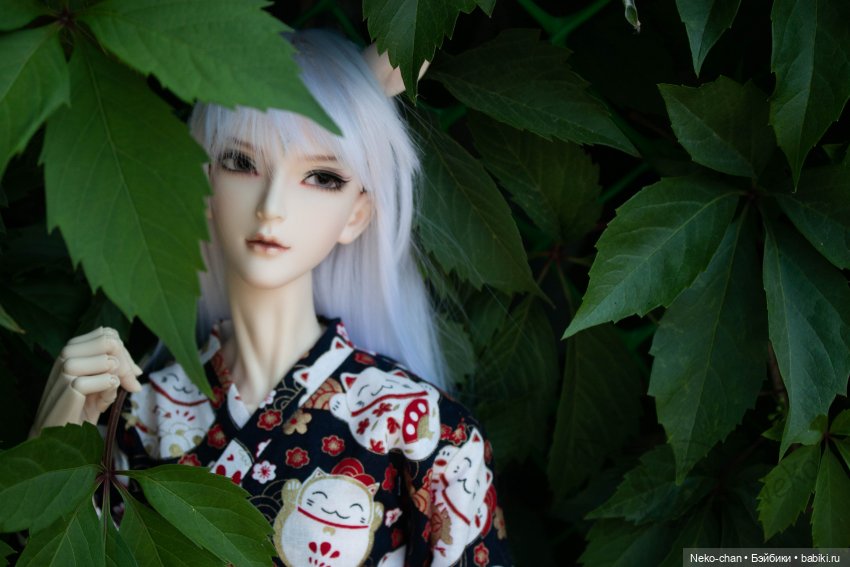 Прогулка лиса — Фотоистории с куклами BJD (БЖД): сериалы