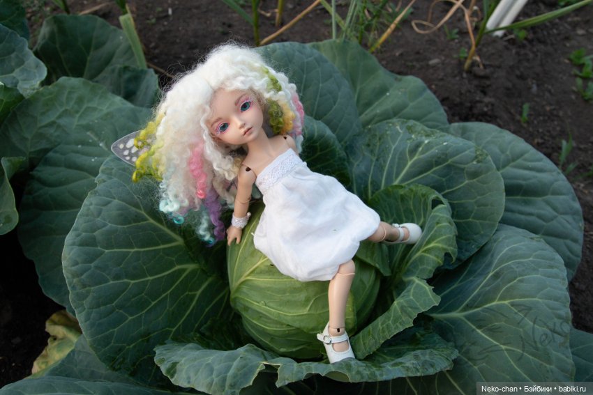 Бабочка - капустница — Фотоистории с куклами BJD (БЖД): сериалы