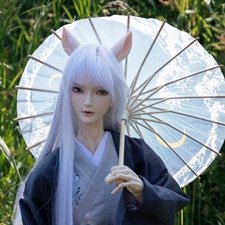 Прогулка лиса