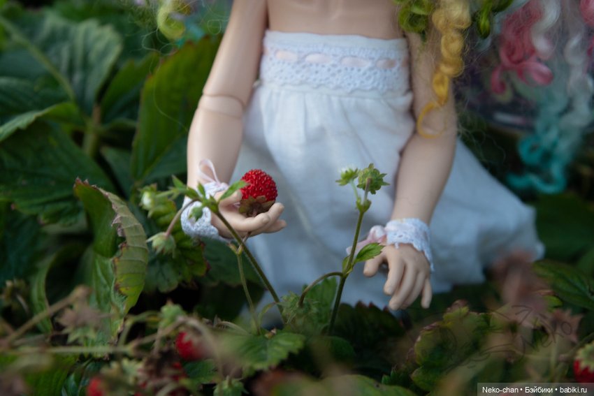 Ноэль и земляника — Фотоистории с куклами BJD (БЖД): сериалы (фото 3)
