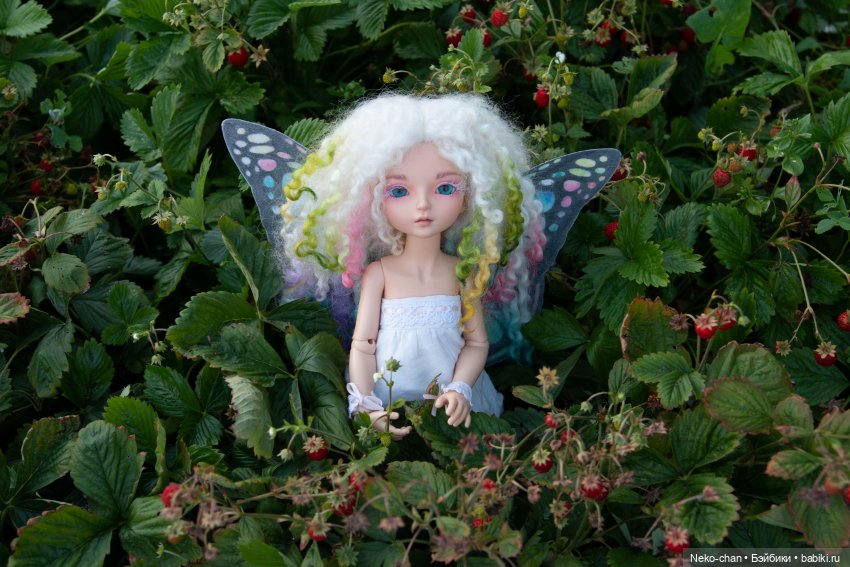 Ноэль и земляника — Фотоистории с куклами BJD (БЖД): сериалы