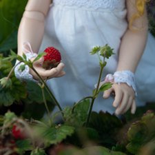 Ноэль и земляника