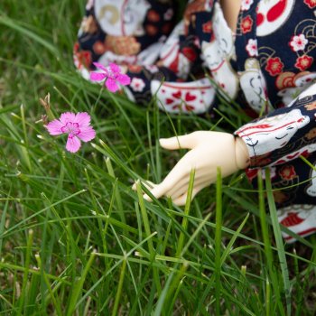 Хлоя любит поваляться на травке