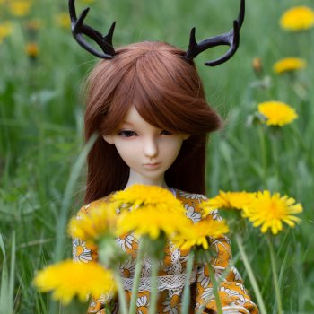 Больше одуванчиков