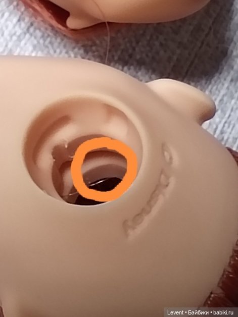 Резать или нет? Прошу помощи опытных гибридизаторов. Голова на месте :D (фото 4)