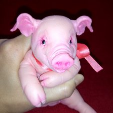 Силиконовая Хрюшечка