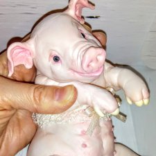 Силиконовая свинка Беляночка
