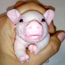 Силиконовый поросенок 10 см Людмилы Вервейко