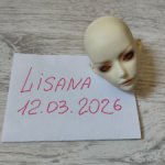 Голова Zaoll Muse