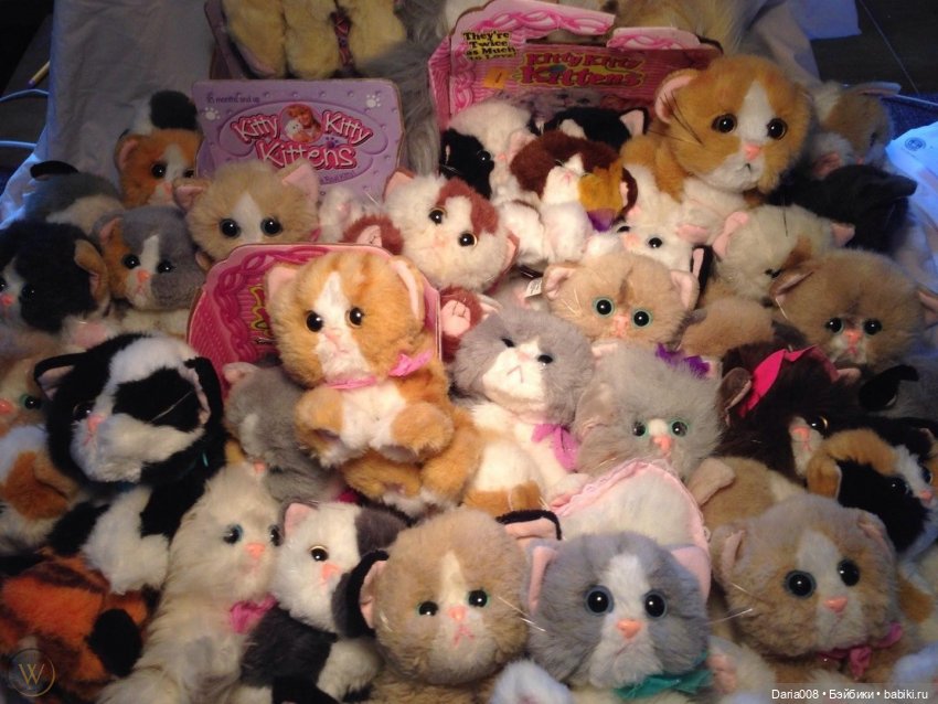 Котята Kitty Kitty Kittens от TYCO и DSI (фото 3)