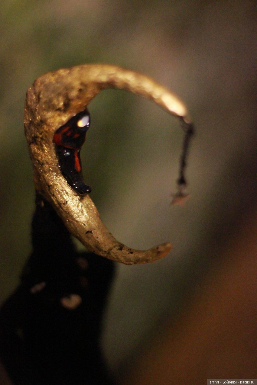 Месяц — Авторские куклы из шерсти (валяние): сухое (фото 5)