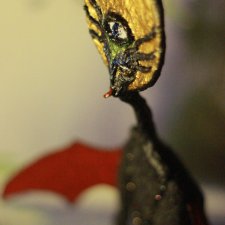 Айин. Готическая кукла