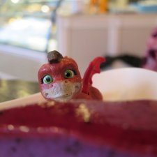 Руди в Питере