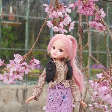 Ликки Ичиго и Вишенка и цветущая Италия