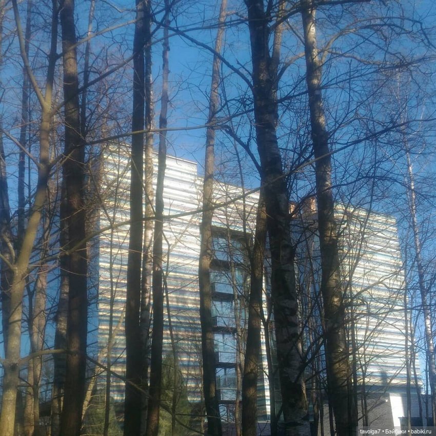 Модница из Королевской Академии в Репино
