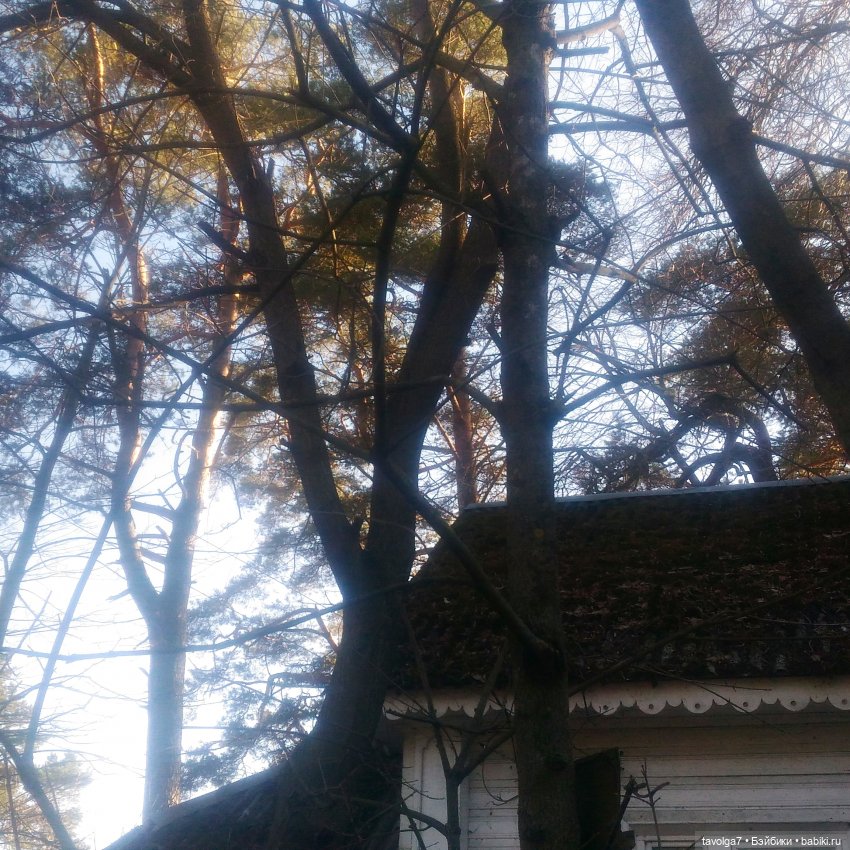 Модница из Королевской Академии в Репино
