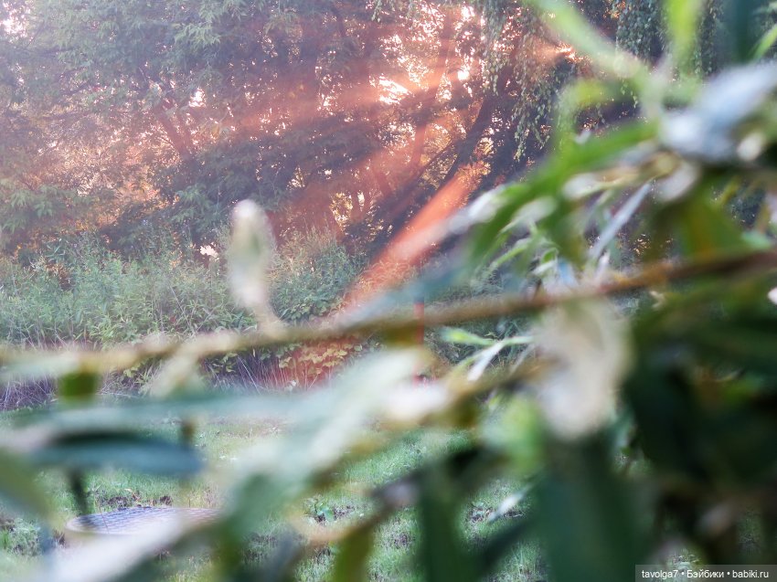 Летнее Солнцестояние. С Праздником всех, кто празднует (фото 3)