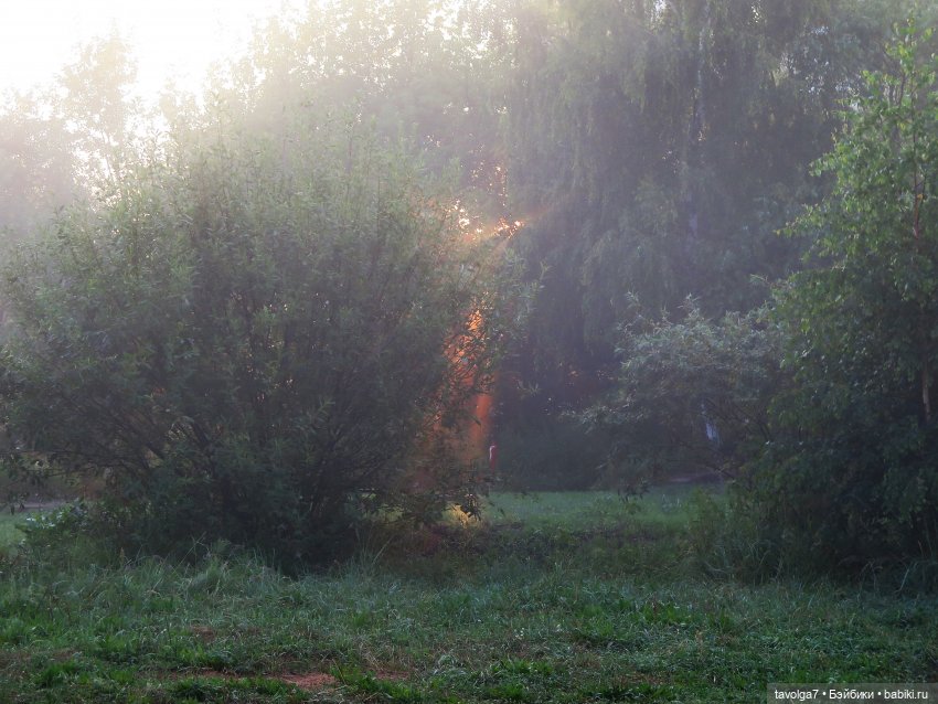 Летнее Солнцестояние. С Праздником всех, кто празднует (фото 4)