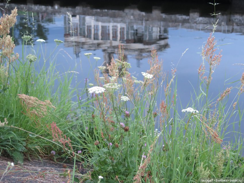 Бабочки у реки — Куклы Мукла (Mooqla) Полины Волошиной: легенды (фото 8)